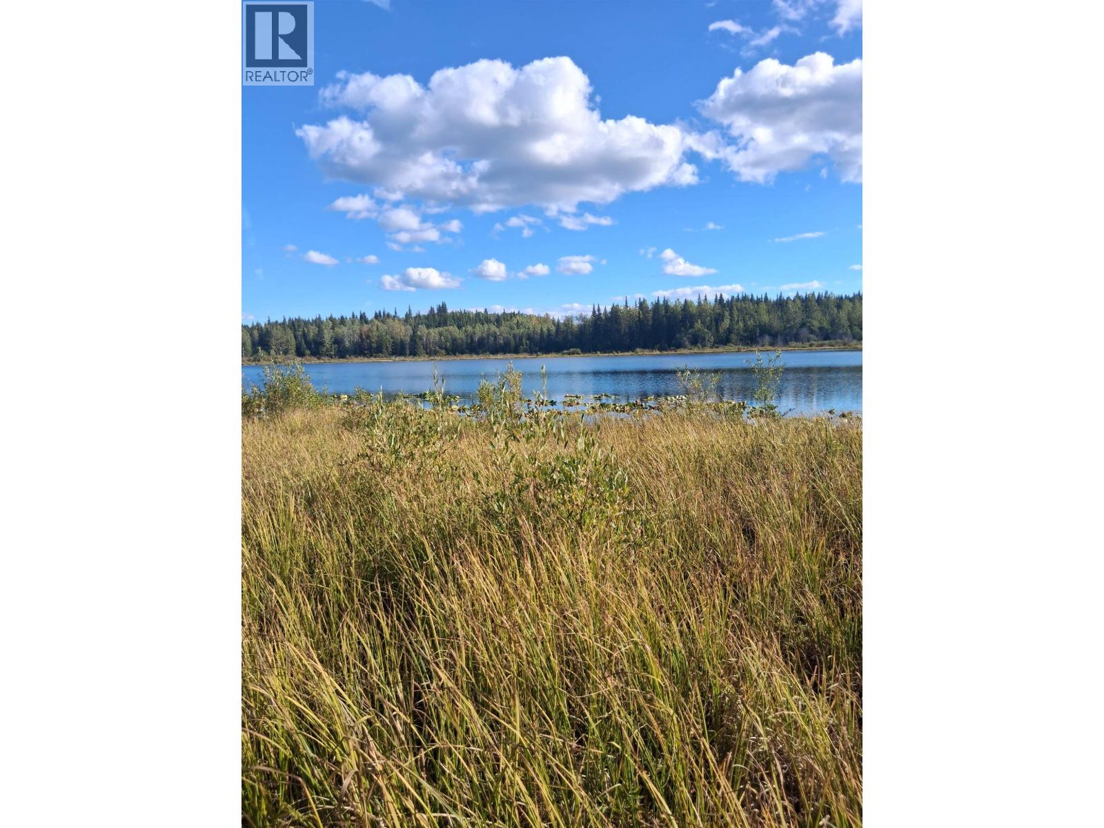 15861 Jarman Road, Houston, British Columbia V0J 1Z2 - Photo 5 - R3161708