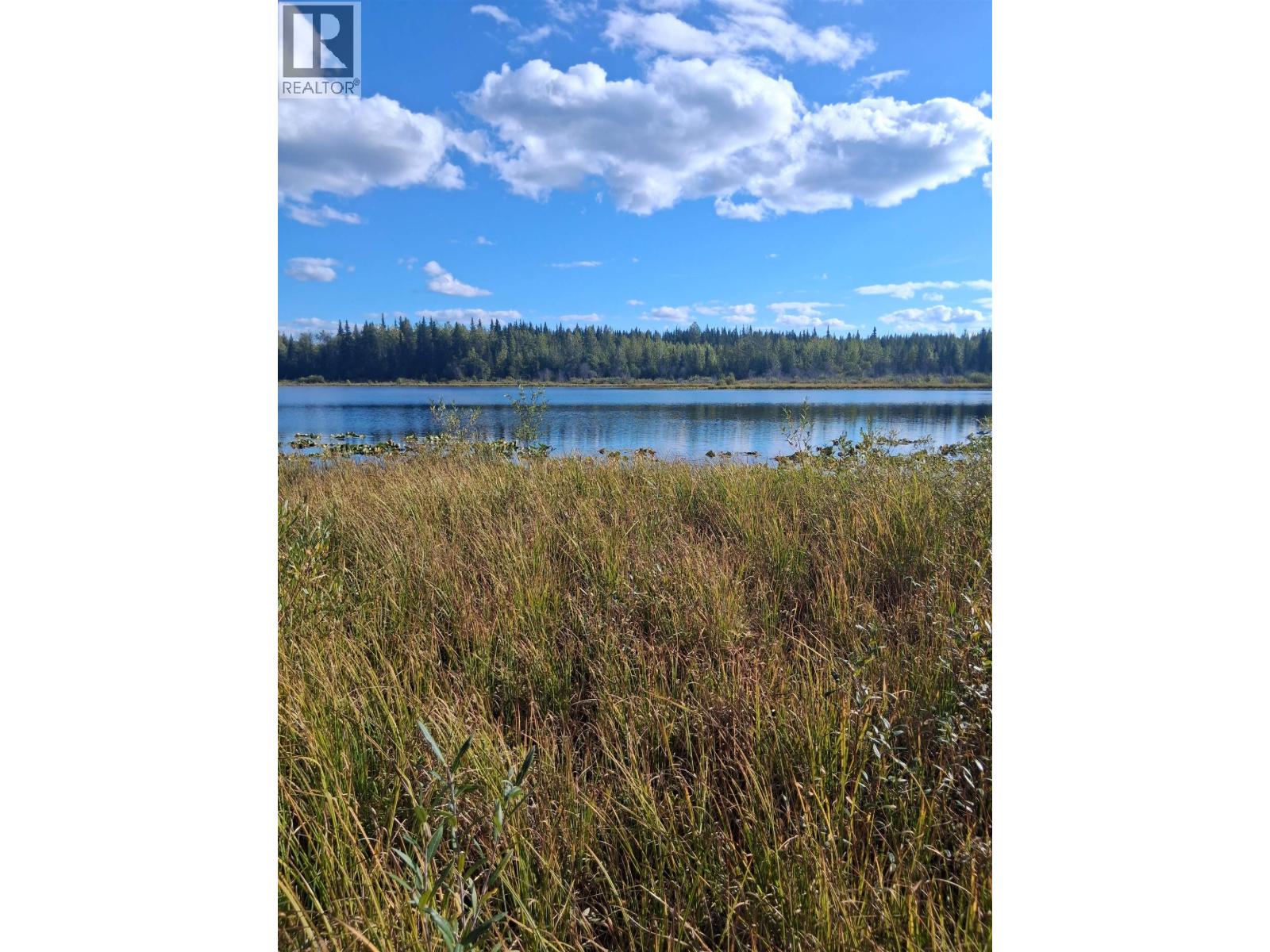 15861 Jarman Road, Houston, British Columbia V0J 1Z2 - Photo 6 - R3161708