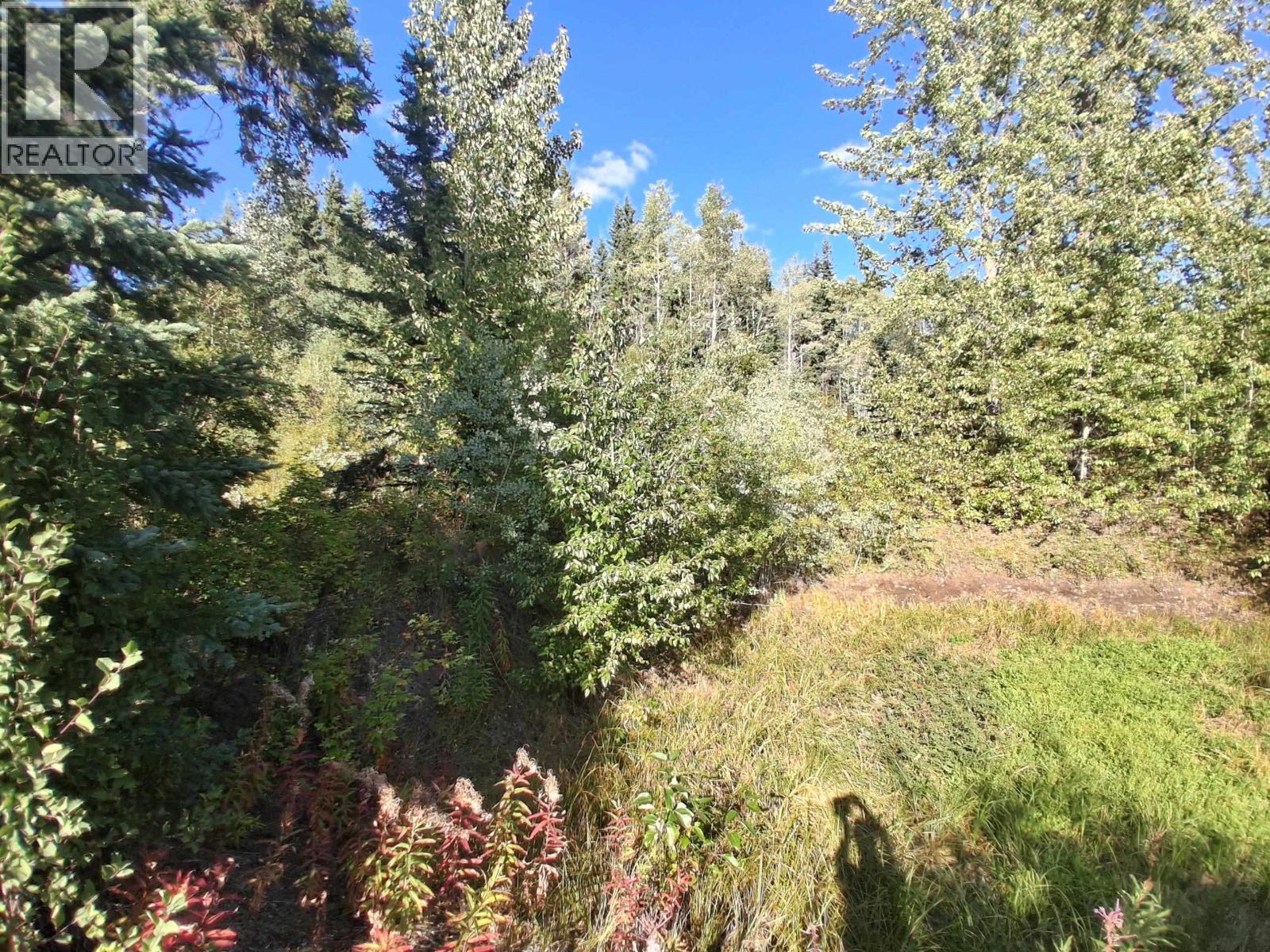 15861 Jarman Road, Houston, British Columbia V0J 1Z2 - Photo 13 - R3161708