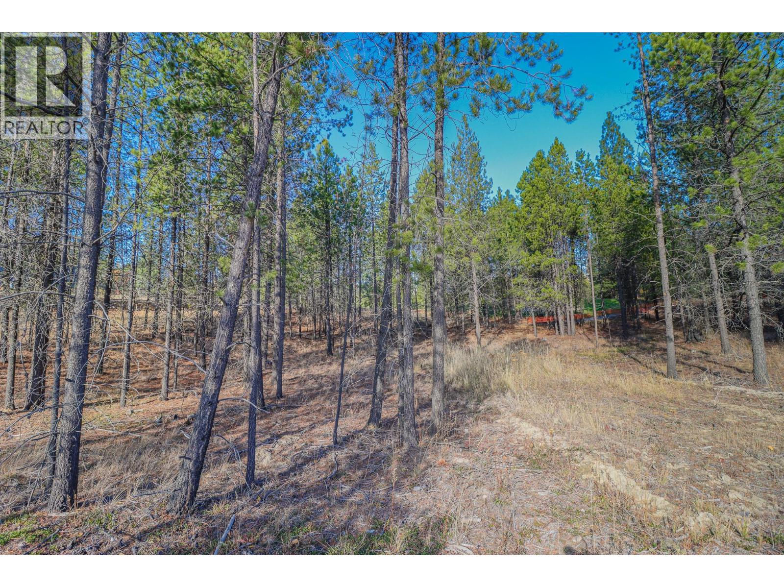 105 Corral Boulevard, Cranbrook, British Columbia  V1C 0C2 - Photo 3 - 10393966
