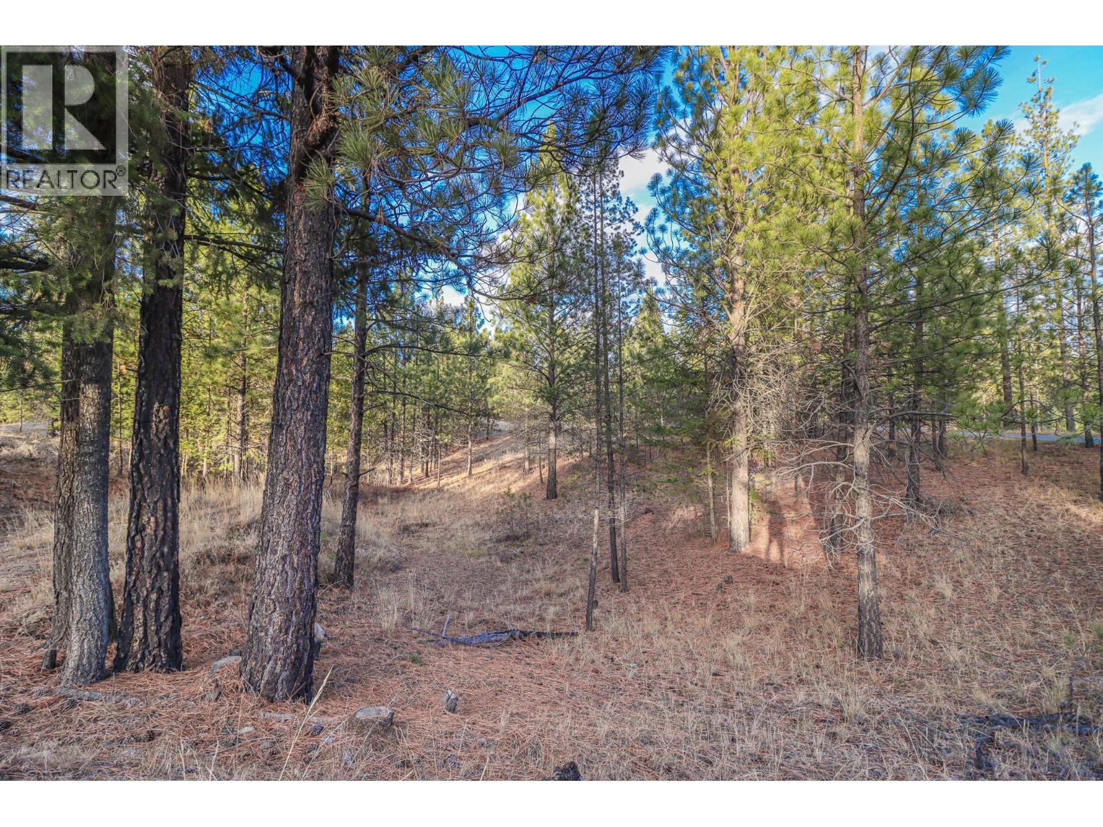 201 Corral Boulevard, Cranbrook, British Columbia  V1C 0C2 - Photo 3 - 10394097