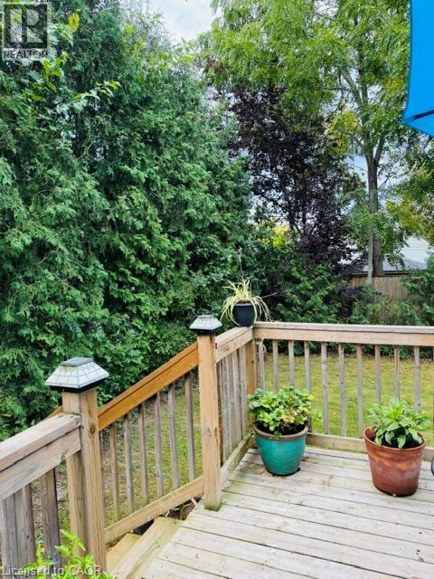 107 Norwood Road, Hamilton, Ontario  L8S 3R3 - Photo 5 - 40863887