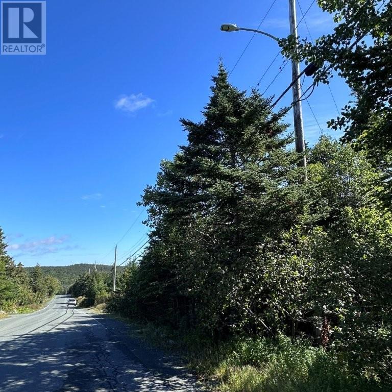 94-98 Kings Hill Road, Portugal Cove St. Philips — photo 5