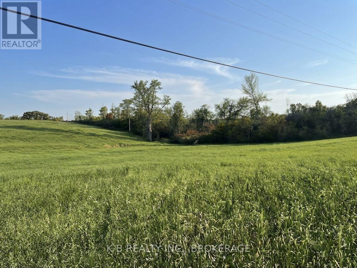 6562 County 4 Road, Stone Mills, Ontario  K0K 3G0 - Photo 4 - X13769884
