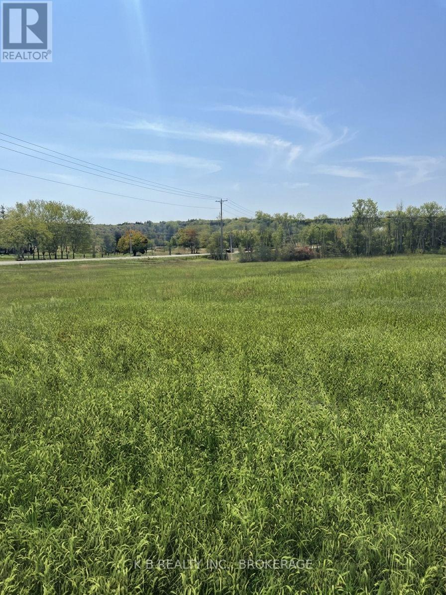 6562 County 4 Road, Stone Mills, Ontario  K0K 3G0 - Photo 7 - X13769884