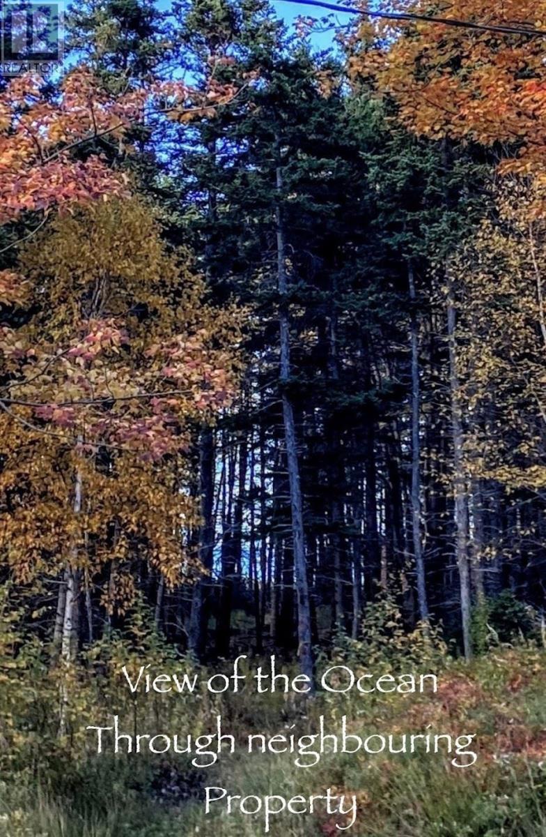 Lot 21-8 Shore Road, Margaree Harbour, Nova Scotia  B0E 2B0 - Photo 44 - 202622411