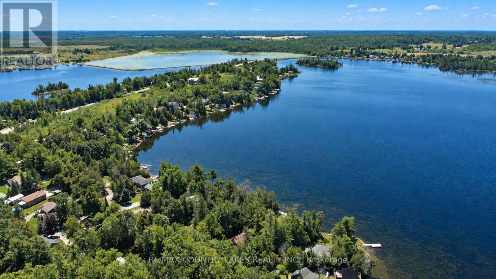 31 Hillcrest Avenue, Kawartha Lakes, Ontario  K0M 2B0 - Photo 30 - X13731174