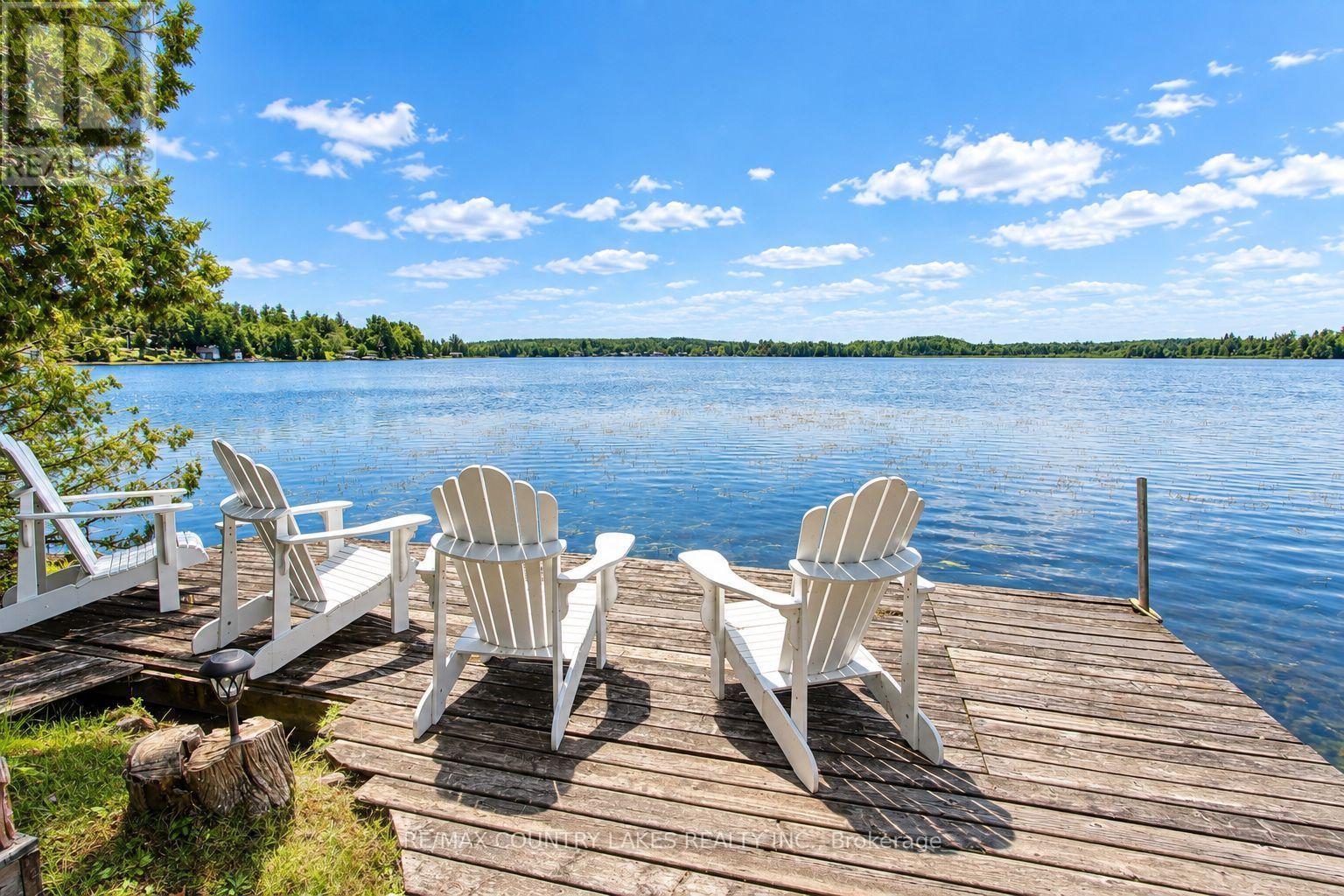 31 Hillcrest Avenue, Kawartha Lakes, Ontario  K0M 2B0 - Photo 25 - X13731174