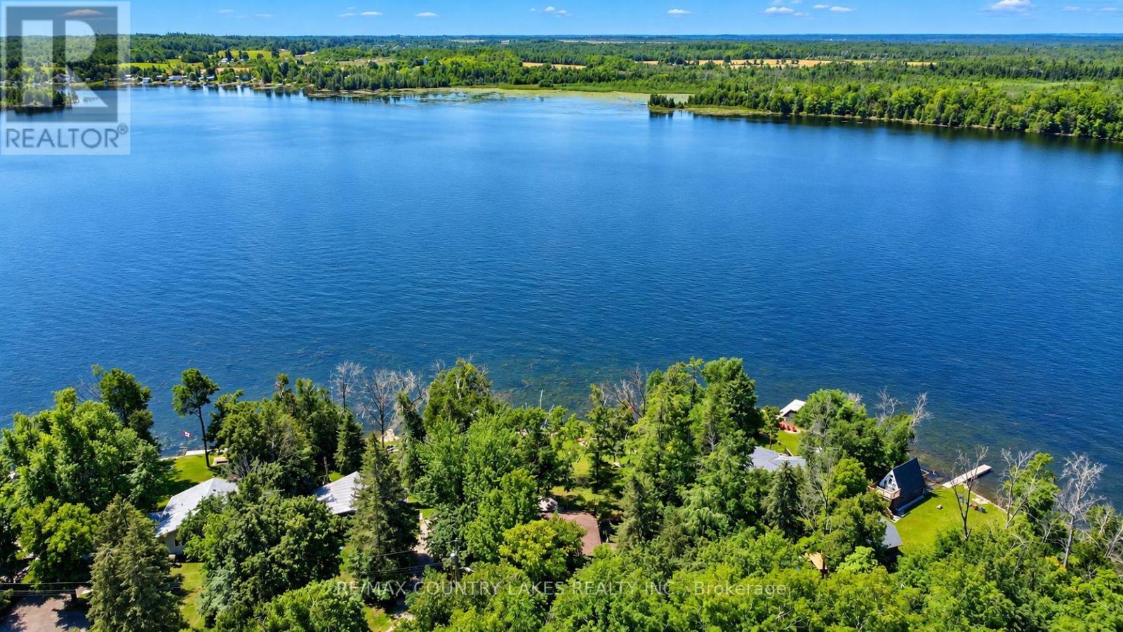 31 Hillcrest Avenue, Kawartha Lakes, Ontario  K0M 2B0 - Photo 33 - X13731174