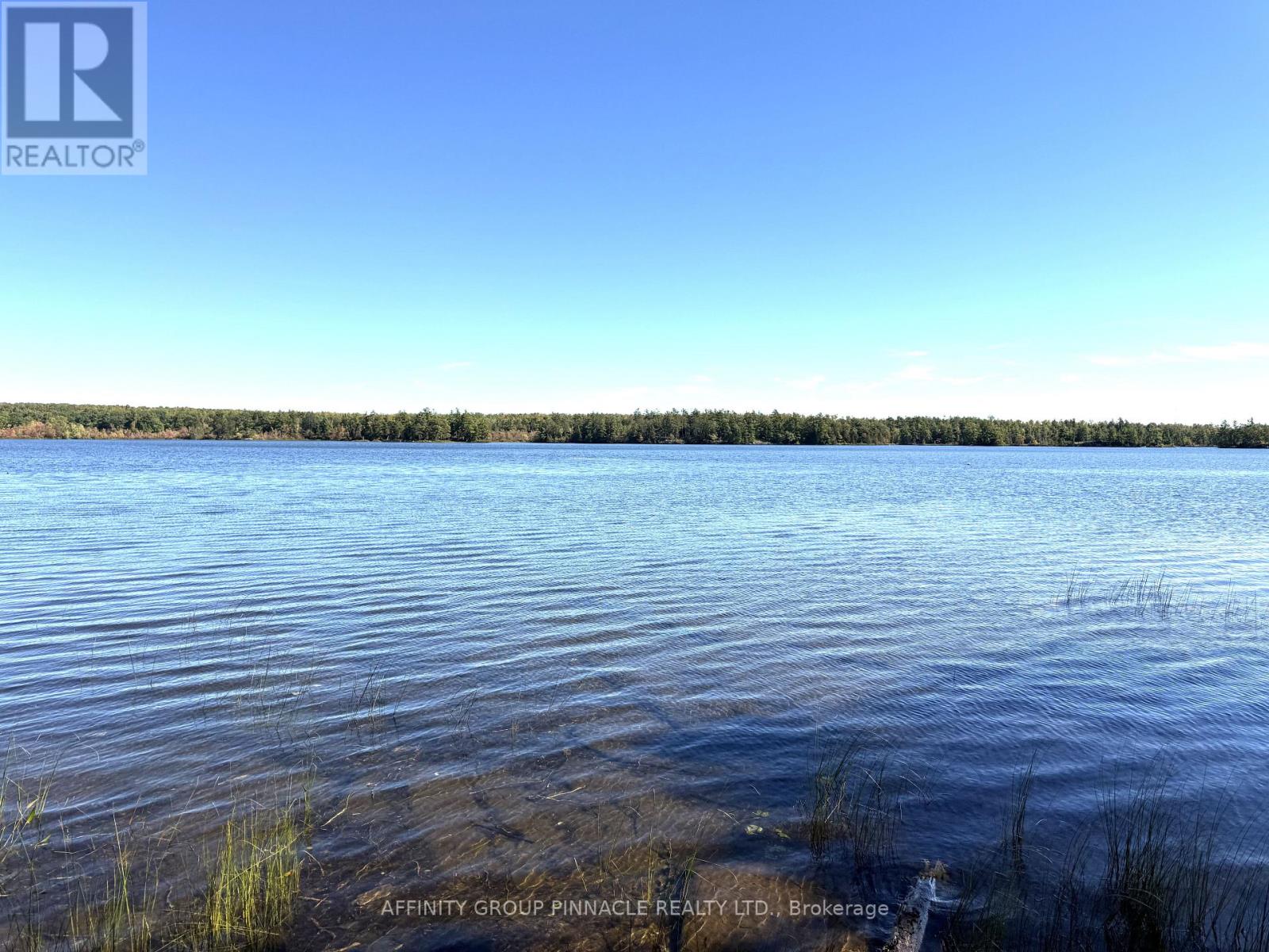 396 North Shore Road, Kawartha Lakes, Ontario  K0M 2B0 - Photo 9 - X13811354