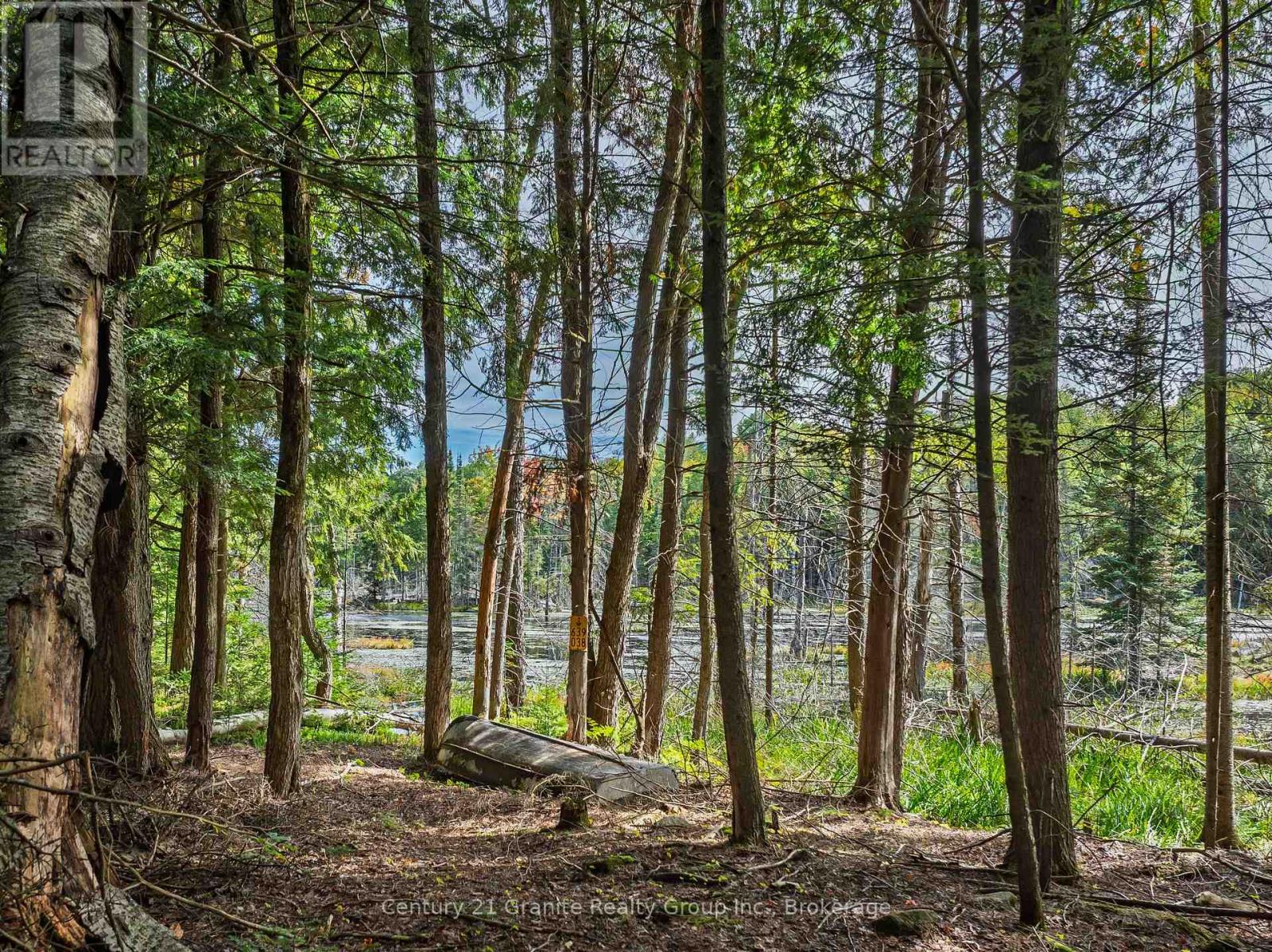 1453 Fleming Road, Minden Hills, Ontario  K0M 2K0 - Photo 33 - X13812526