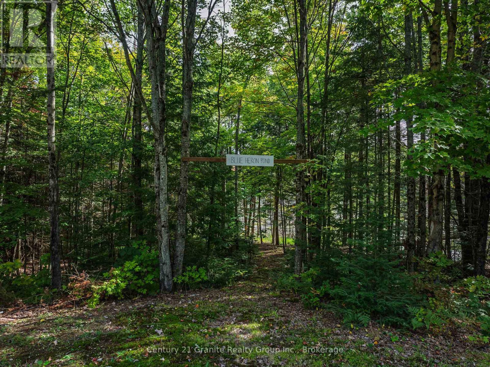 1453 Fleming Road, Minden Hills, Ontario  K0M 2K0 - Photo 32 - X13812526