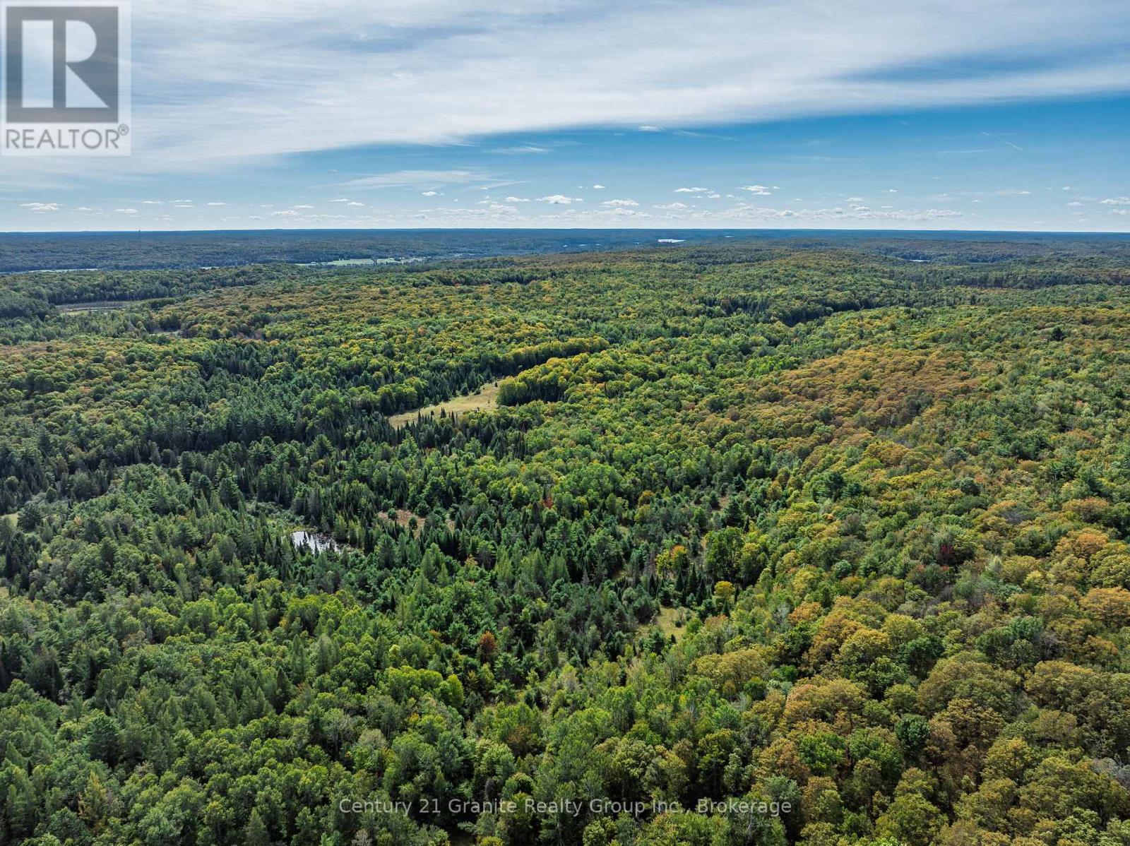 1453 Fleming Road, Minden Hills, Ontario  K0M 2K0 - Photo 41 - X13812526