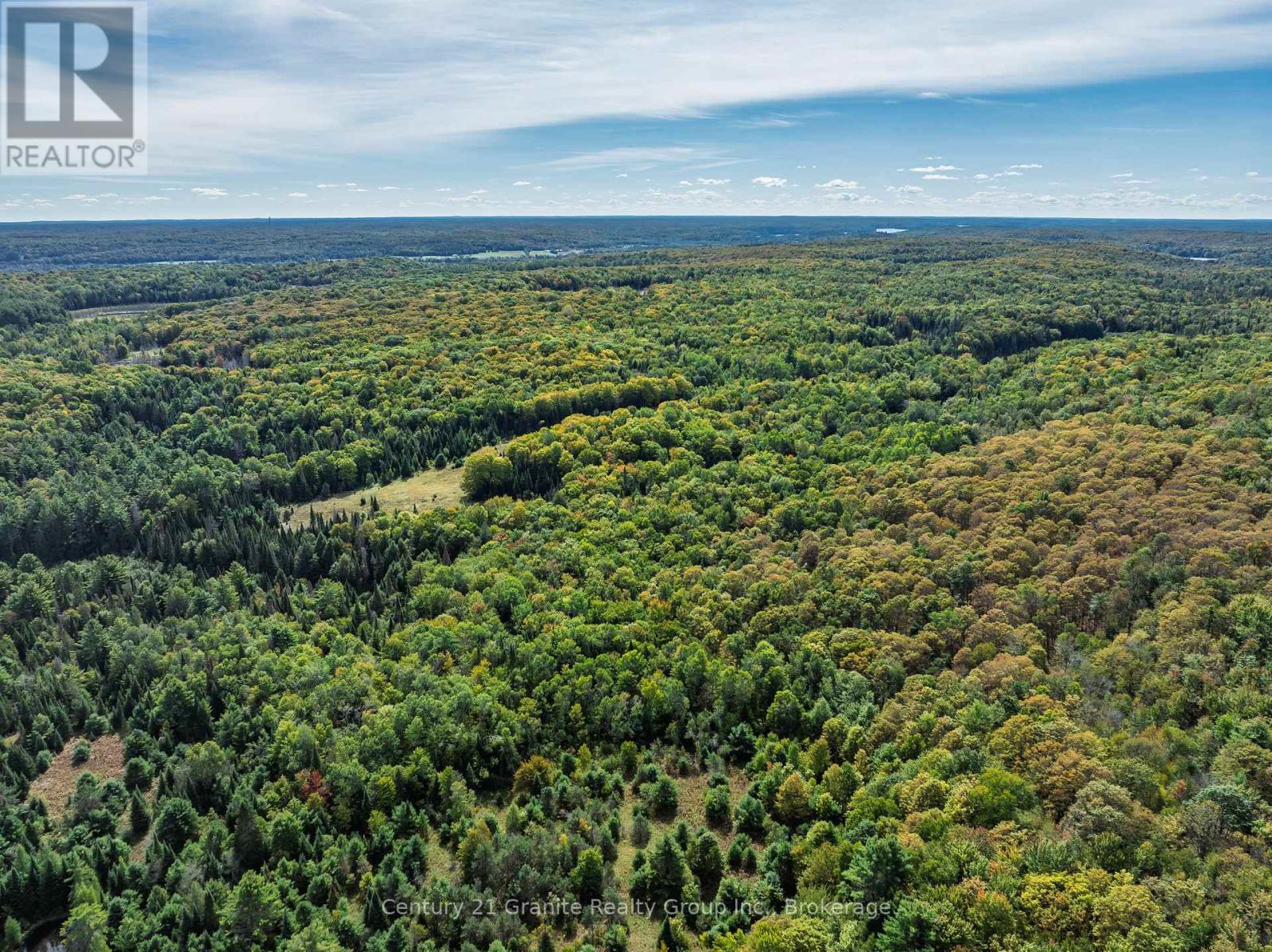 1453 Fleming Road, Minden Hills, Ontario  K0M 2K0 - Photo 43 - X13812526