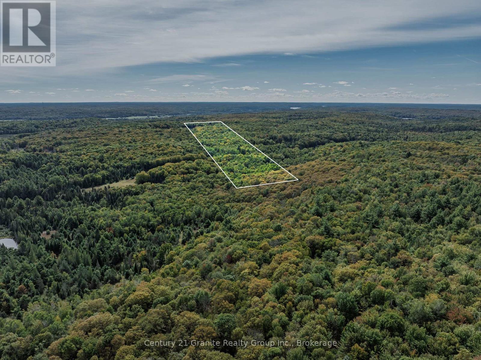 1453 Fleming Road, Minden Hills, Ontario  K0M 2K0 - Photo 42 - X13812526