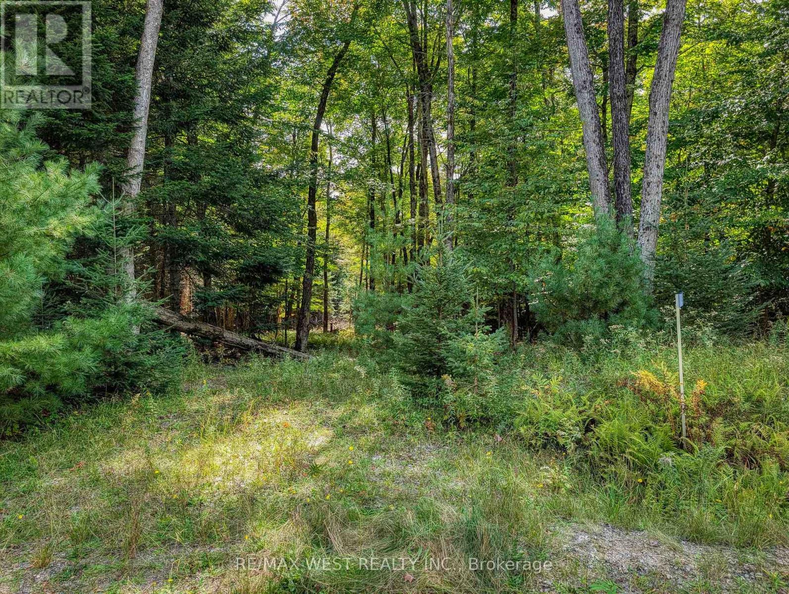 131 Deerfoot Trail, Huntsville, Ontario  P1H 0A8 - Photo 2 - X13812912