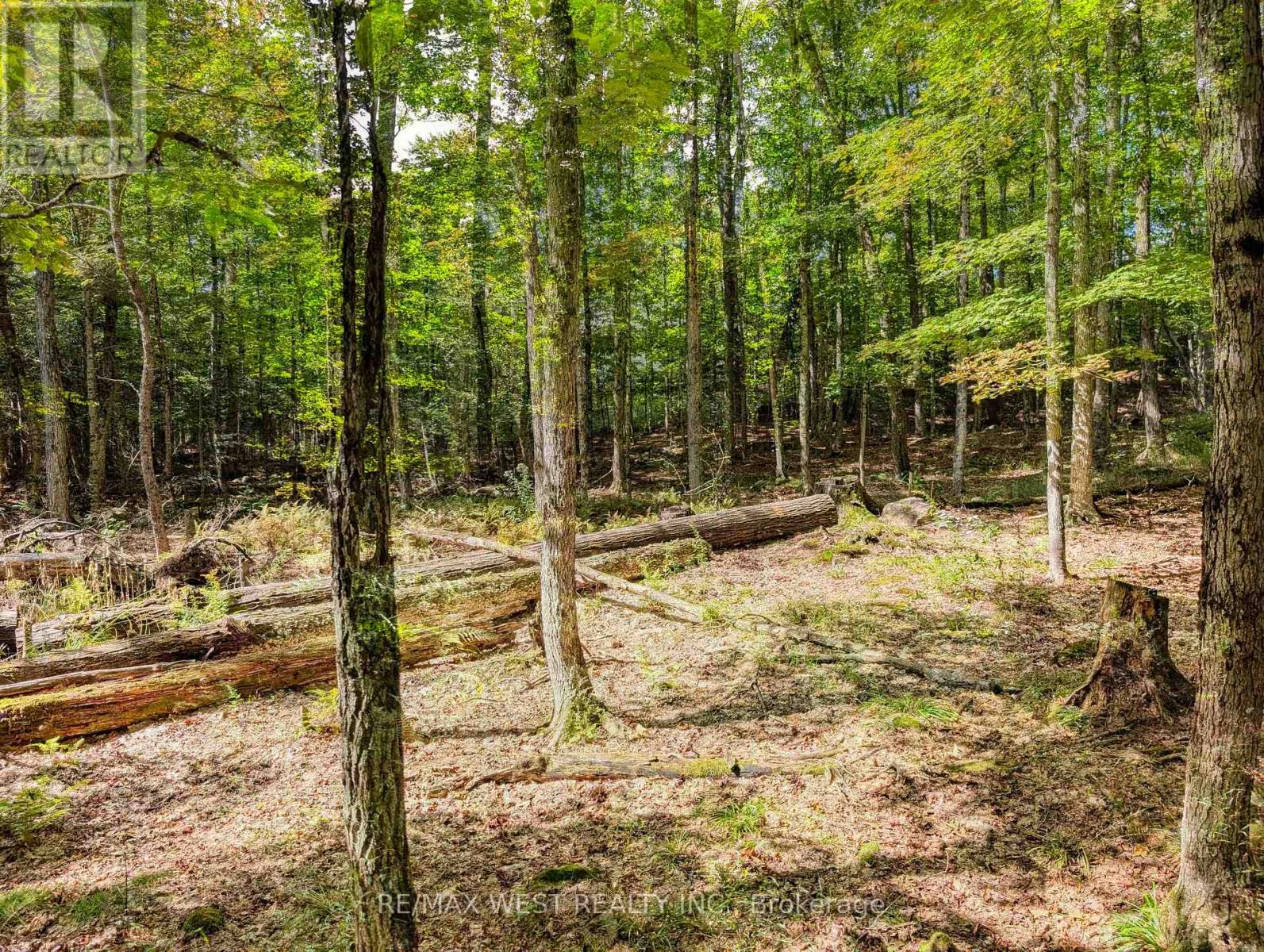 131 Deerfoot Trail, Huntsville, Ontario  P1H 0A8 - Photo 6 - X13812912
