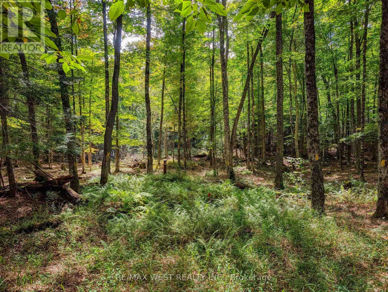 131 Deerfoot Trail, Huntsville, Ontario  P1H 0A8 - Photo 3 - X13812912