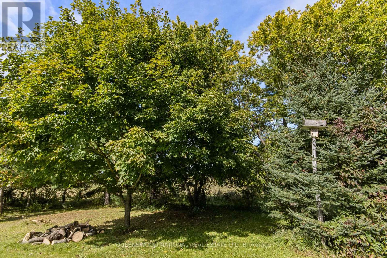 101 Waite Street S, Whitewater Region, Ontario  K0J 1V0 - Photo 16 - X13816082