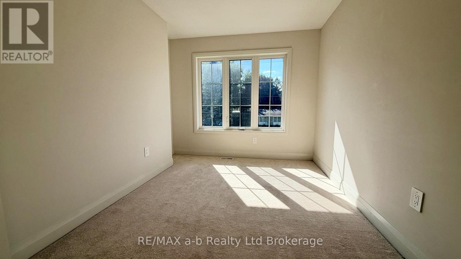 210 Middleton Street, Zorra, Ontario  N0M 2N0 - Photo 11 - X13816074