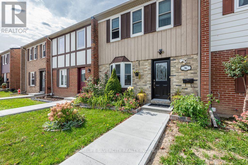36 - 900 Central Park Drive, Brampton, Ontario  L6S 3J6 - Photo 4 - W13807266