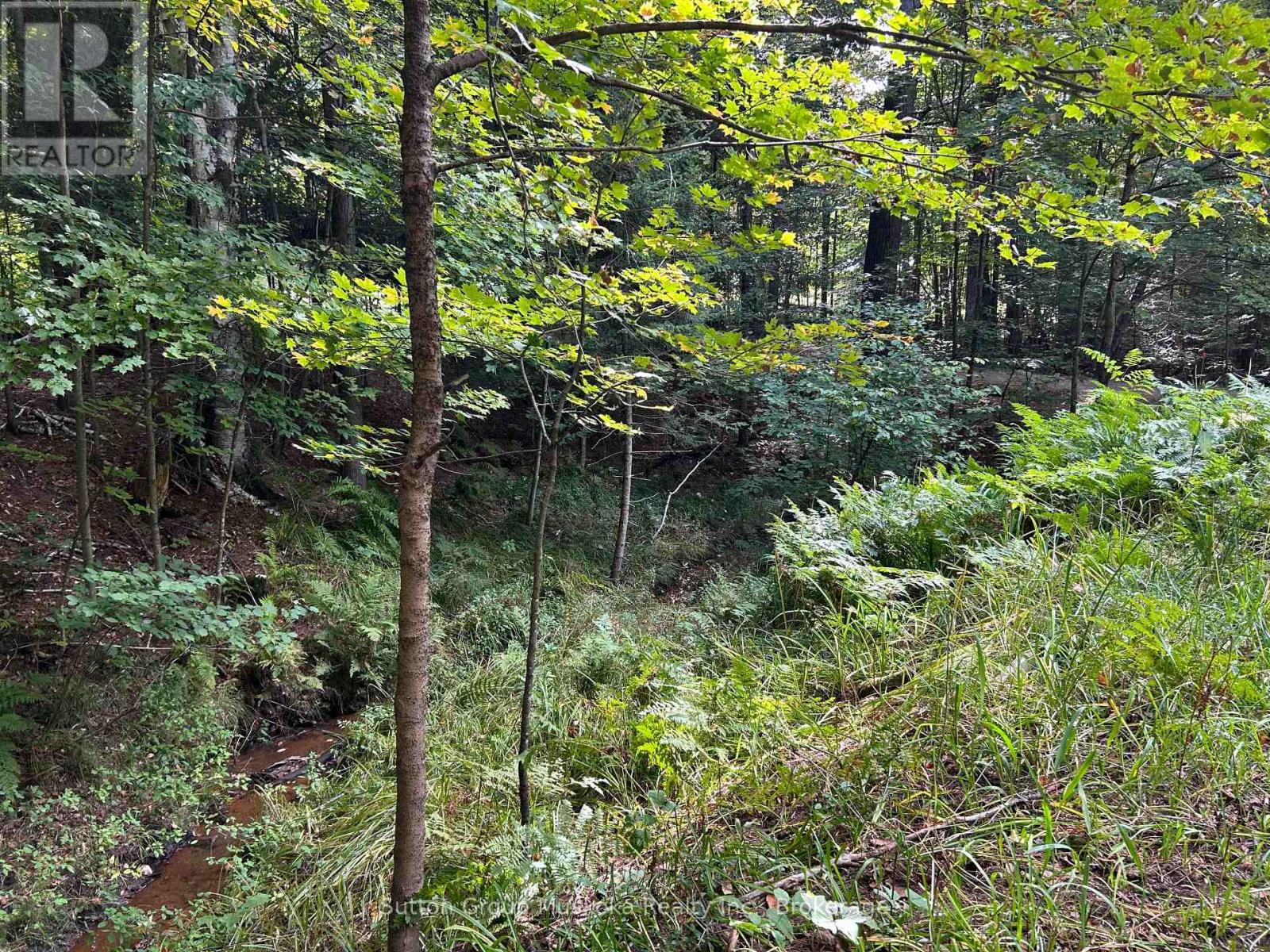 120 Line Hill Road, Huntsville, Ontario  P1H 1H4 - Photo 13 - X13816098
