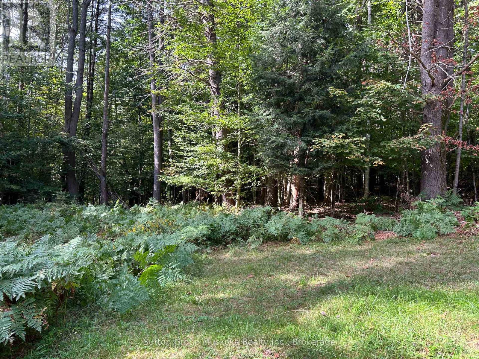120 Line Hill Road, Huntsville, Ontario  P1H 1H4 - Photo 14 - X13816098