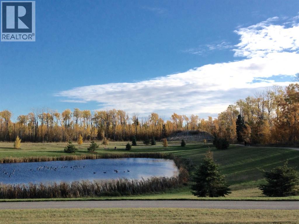 On 106 Street, Grande Prairie, Alberta  T0H 0H0 - Photo 2 - A2265715