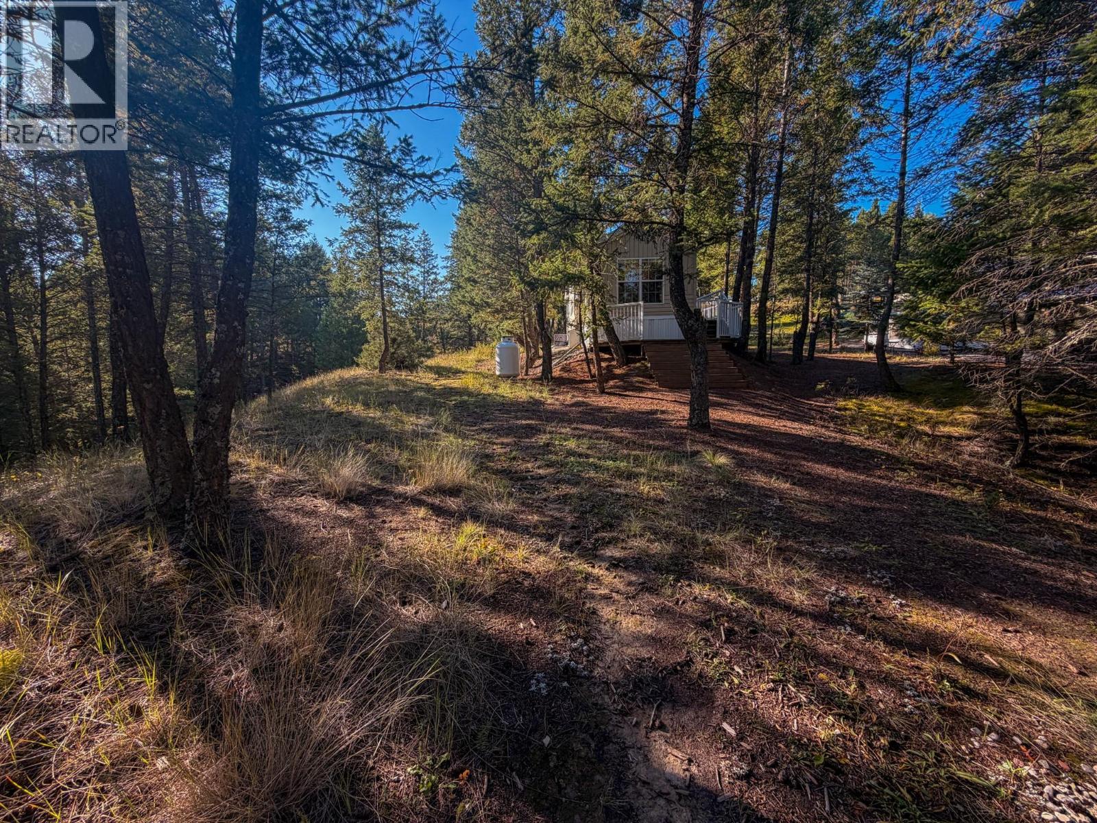 4906 Lynx Drive, Radium Hot Springs, British Columbia  V0A 1M0 - Photo 26 - 10401569