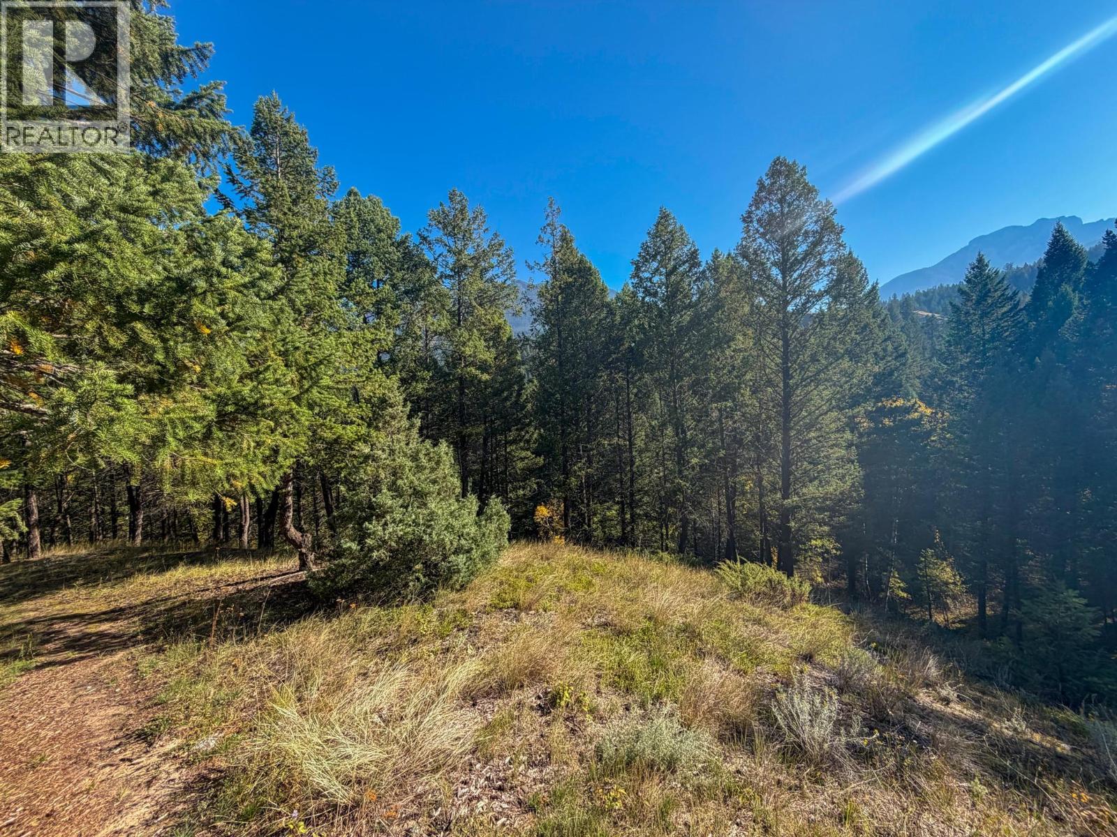 4906 Lynx Drive, Radium Hot Springs, British Columbia  V0A 1M0 - Photo 34 - 10401569