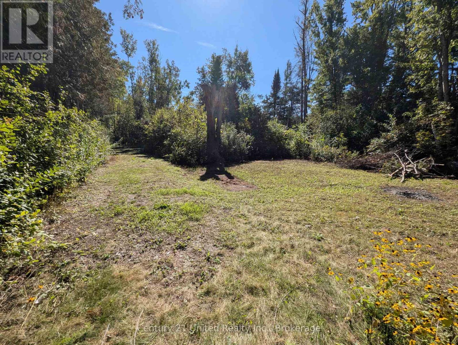 63 Fire Route 104, Kawartha Lakes, Ontario K0M 1A0 - Photo 3 - X13816144