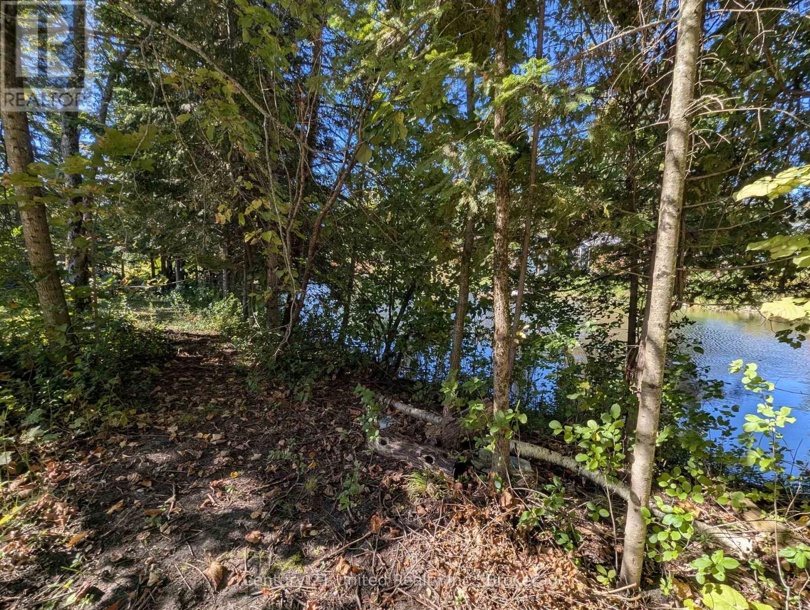 63 Fire Route 104, Kawartha Lakes, Ontario K0M 1A0 - Photo 5 - X13816144