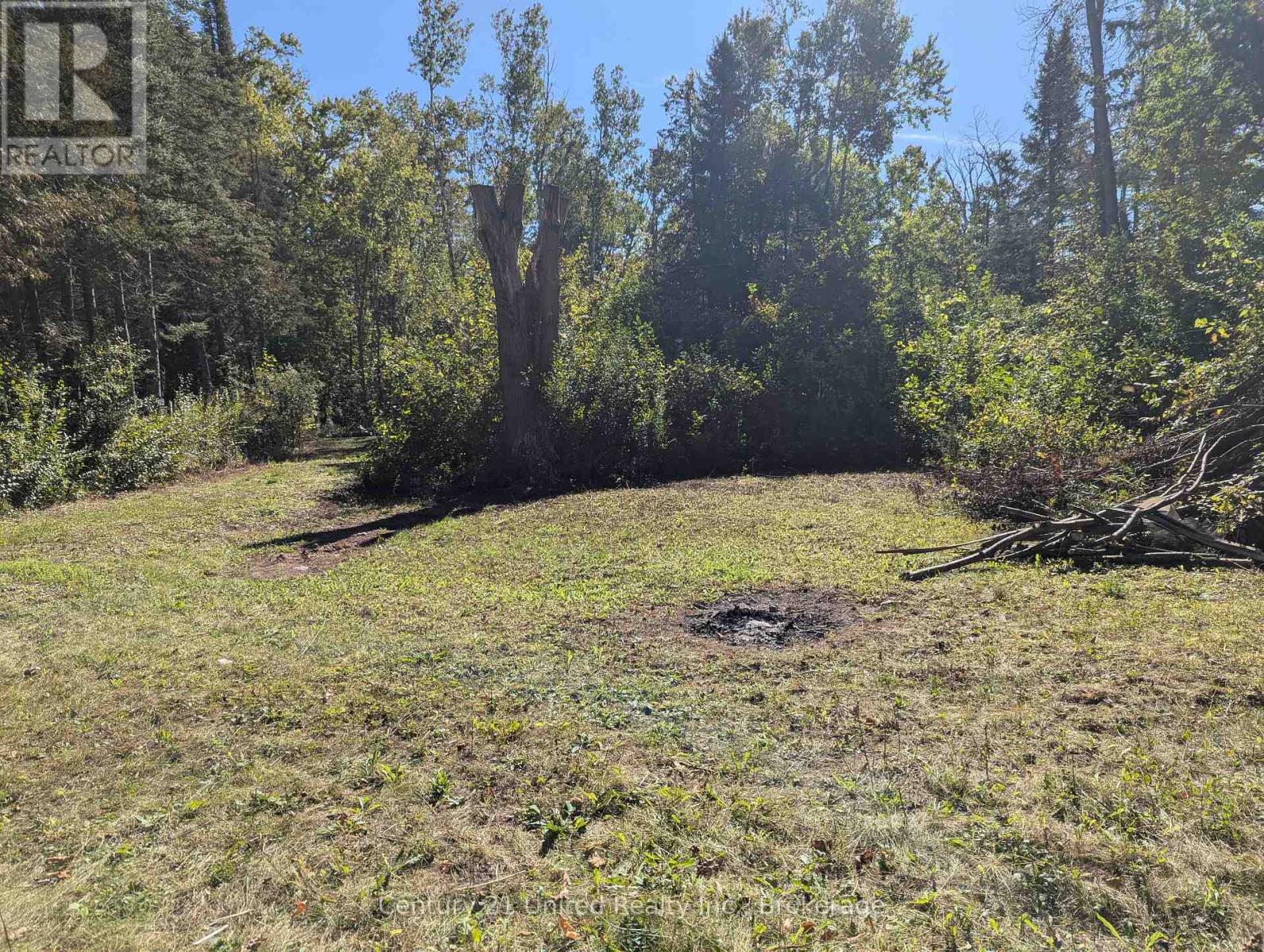 63 Fire Route 104, Kawartha Lakes, Ontario K0M 1A0 - Photo 6 - X13816144
