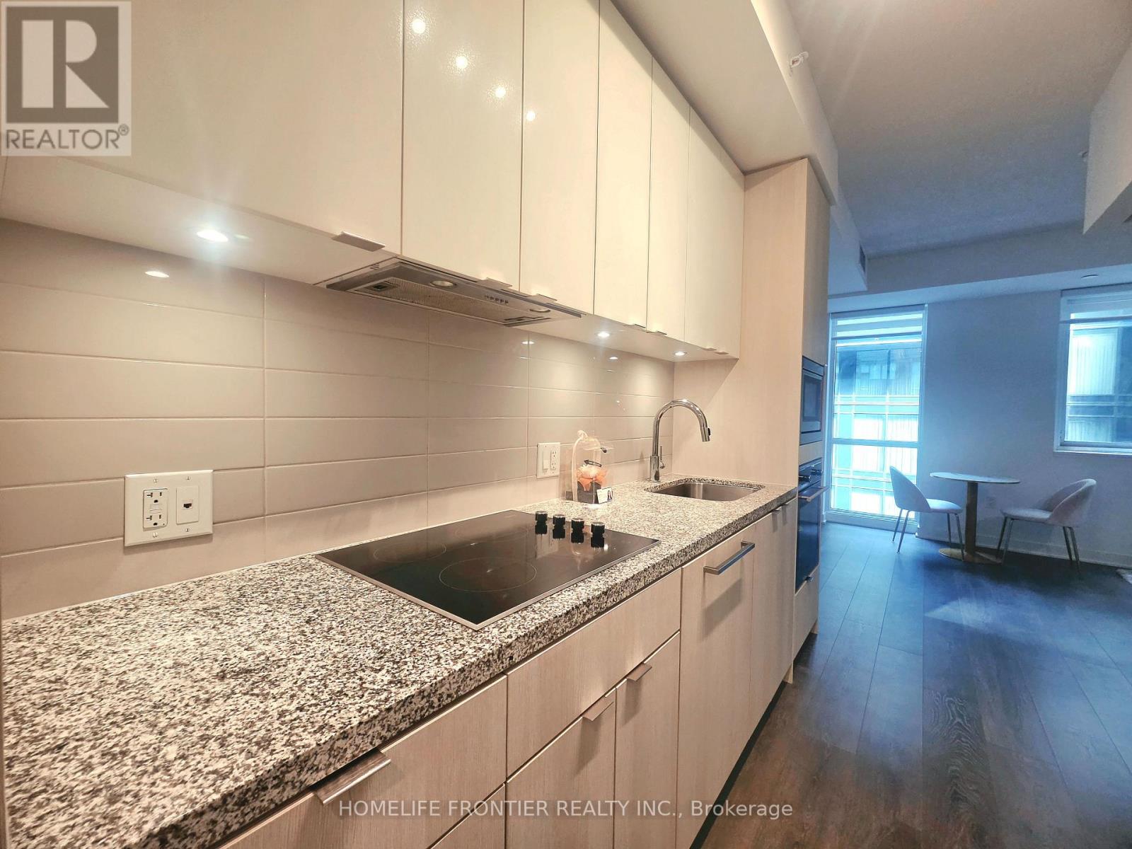 705 - 115 Blue Jays Way, Toronto, Ontario  M5V 0N4 - Photo 4 - C13661048