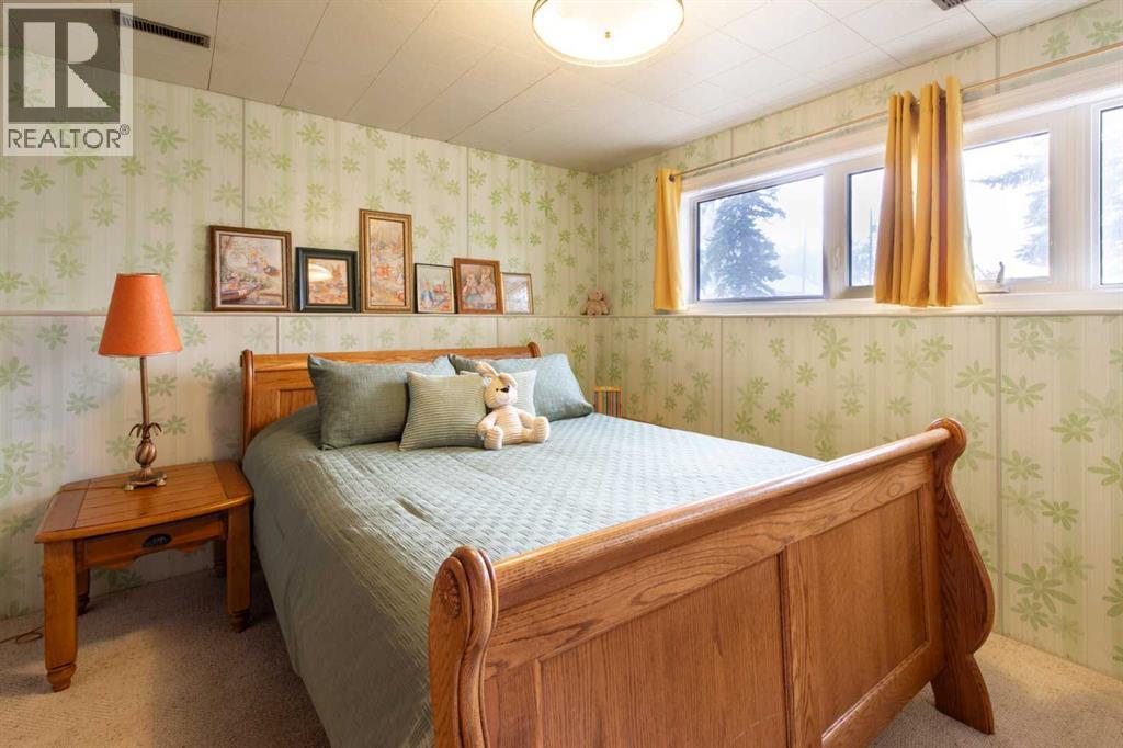 217 Kipp Avenue, Monarch, Alberta  T0L 1M0 - Photo 29 - A2345571