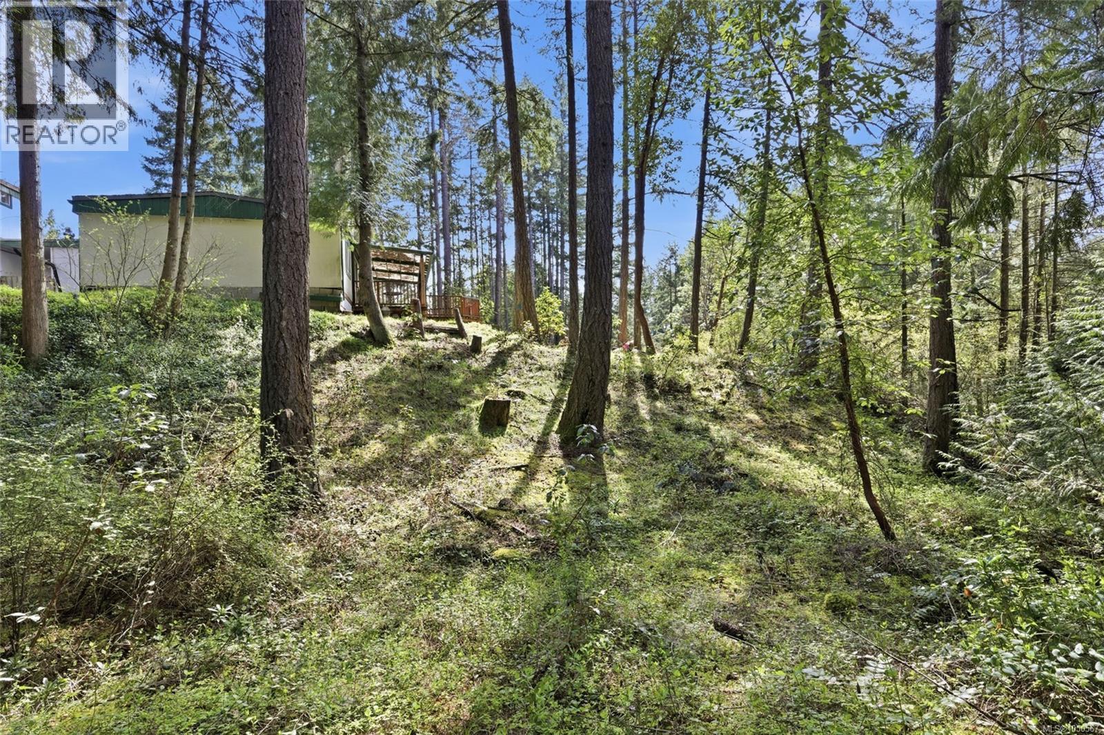 picture 37