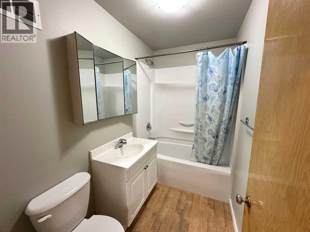 4615 51 Avenue, Vermilion, Alberta  T9X 1R9 - Photo 8 - A2347119