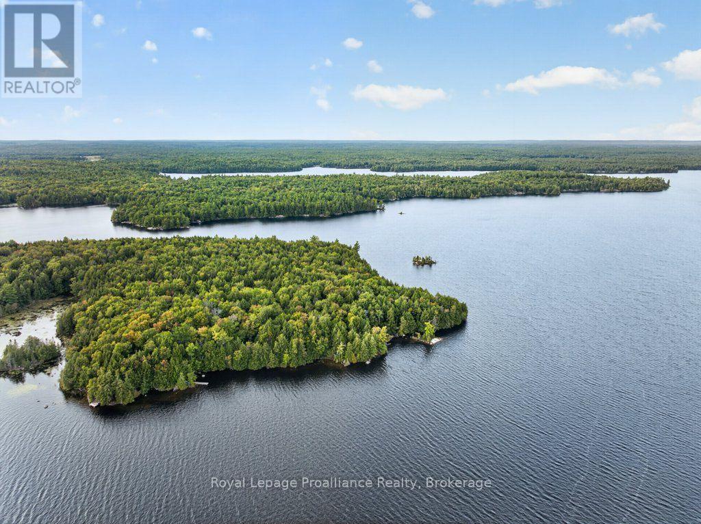1214 Big Gull Lane, Frontenac, Ontario K0H 1B0 - Photo 50 - X13794080