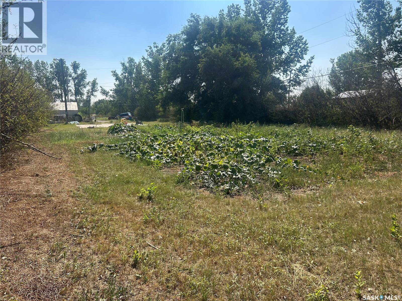 300 2nd Street W, Bengough, Saskatchewan  S0C 0K0 - Photo 53 - SK049185