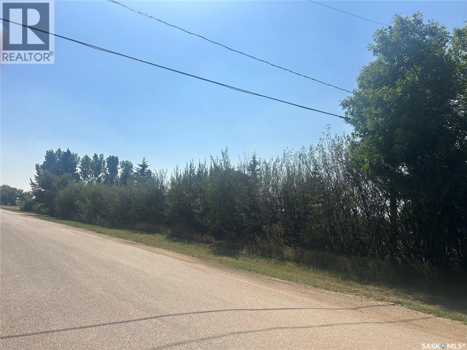 300 2nd Street W, Bengough, Saskatchewan  S0C 0K0 - Photo 57 - SK049185