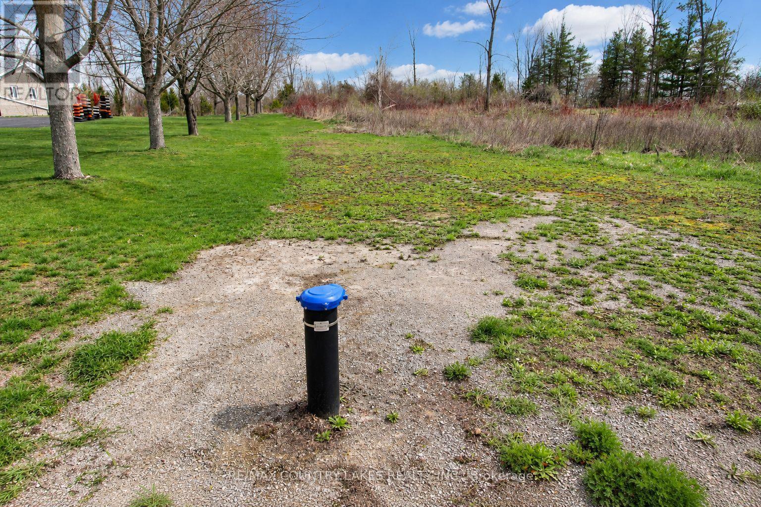 Lt 2 Redcap Beach Lane, Kawartha Lakes, Ontario  K0M 2B0 - Photo 14 - X13053044
