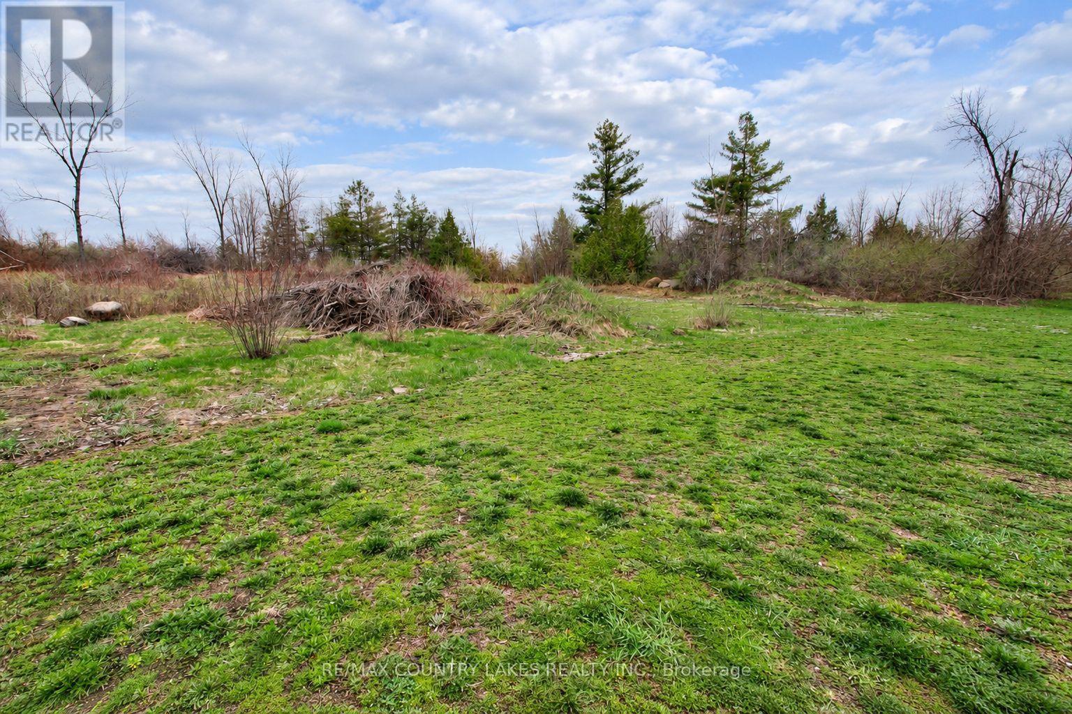 Lt 2 Redcap Beach Lane, Kawartha Lakes, Ontario  K0M 2B0 - Photo 8 - X13053044