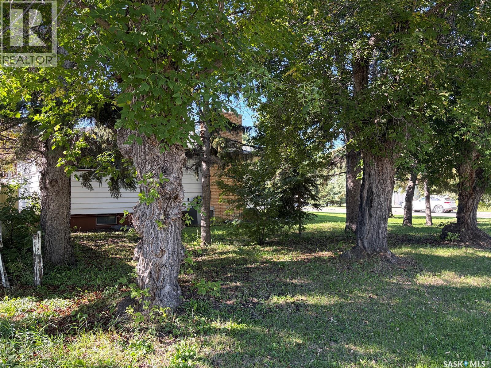 133 2nd Avenue Ne, Wadena, Saskatchewan  S0A 4J0 - Photo 39 - SK049188