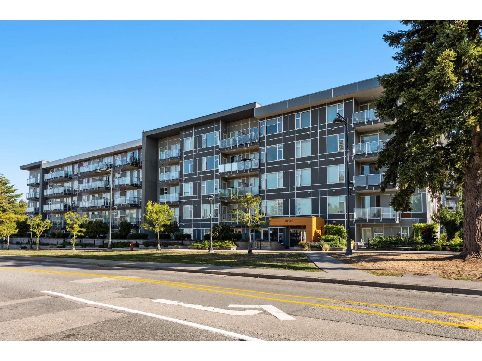 518 10838 Whalley Boulevard, Surrey, British Columbia  V3R 0G8 - Photo 29 - R3168624