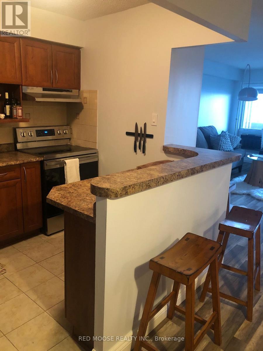 706 - 158 B Mcarthur Avenue, Ottawa, Ontario K1L 8C9 - Photo 4 - X13740040