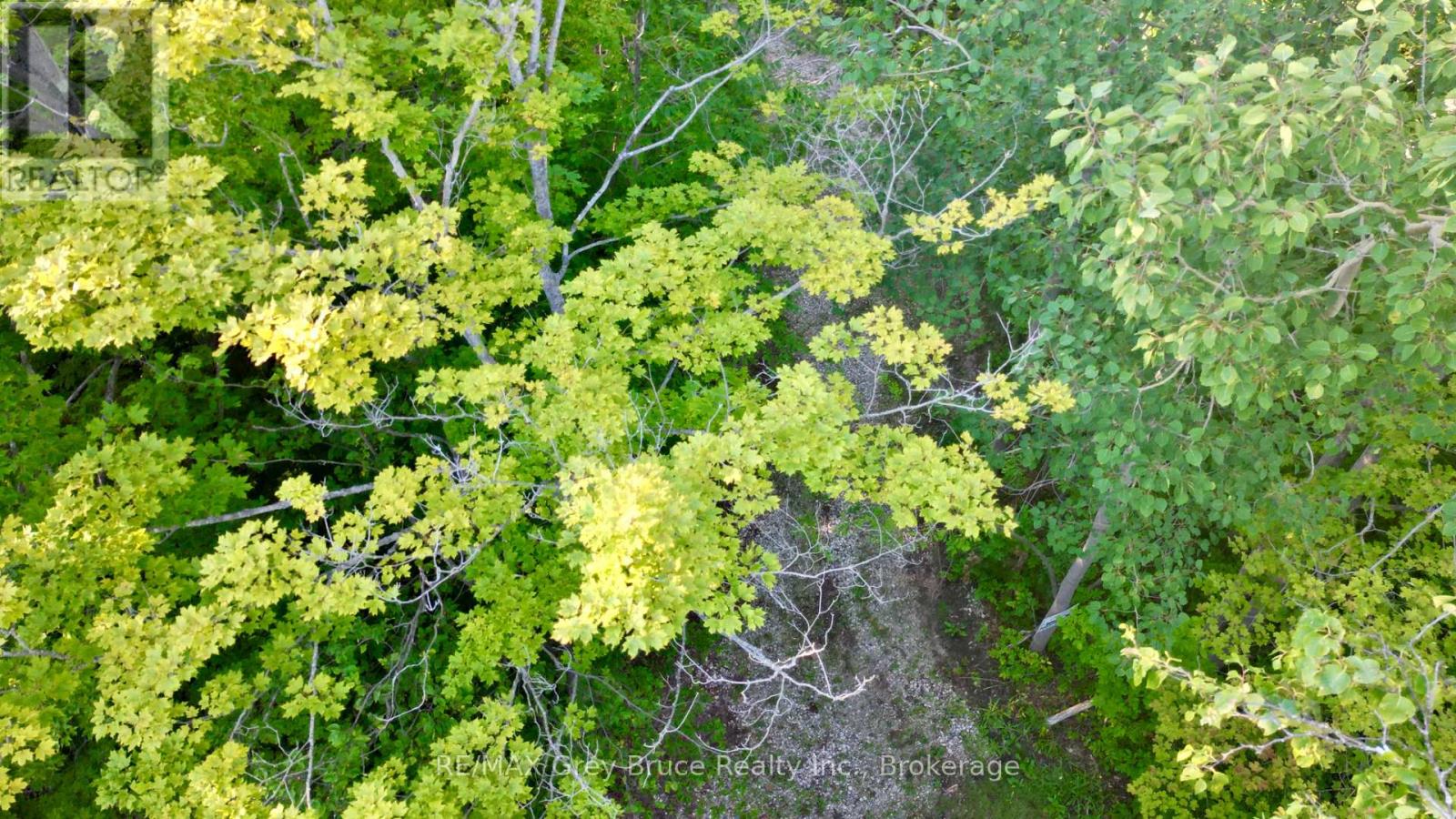 279 Barney's Boulevard, Northern Bruce Peninsula, Ontario  N0H 1Z0 - Photo 43 - X13816906