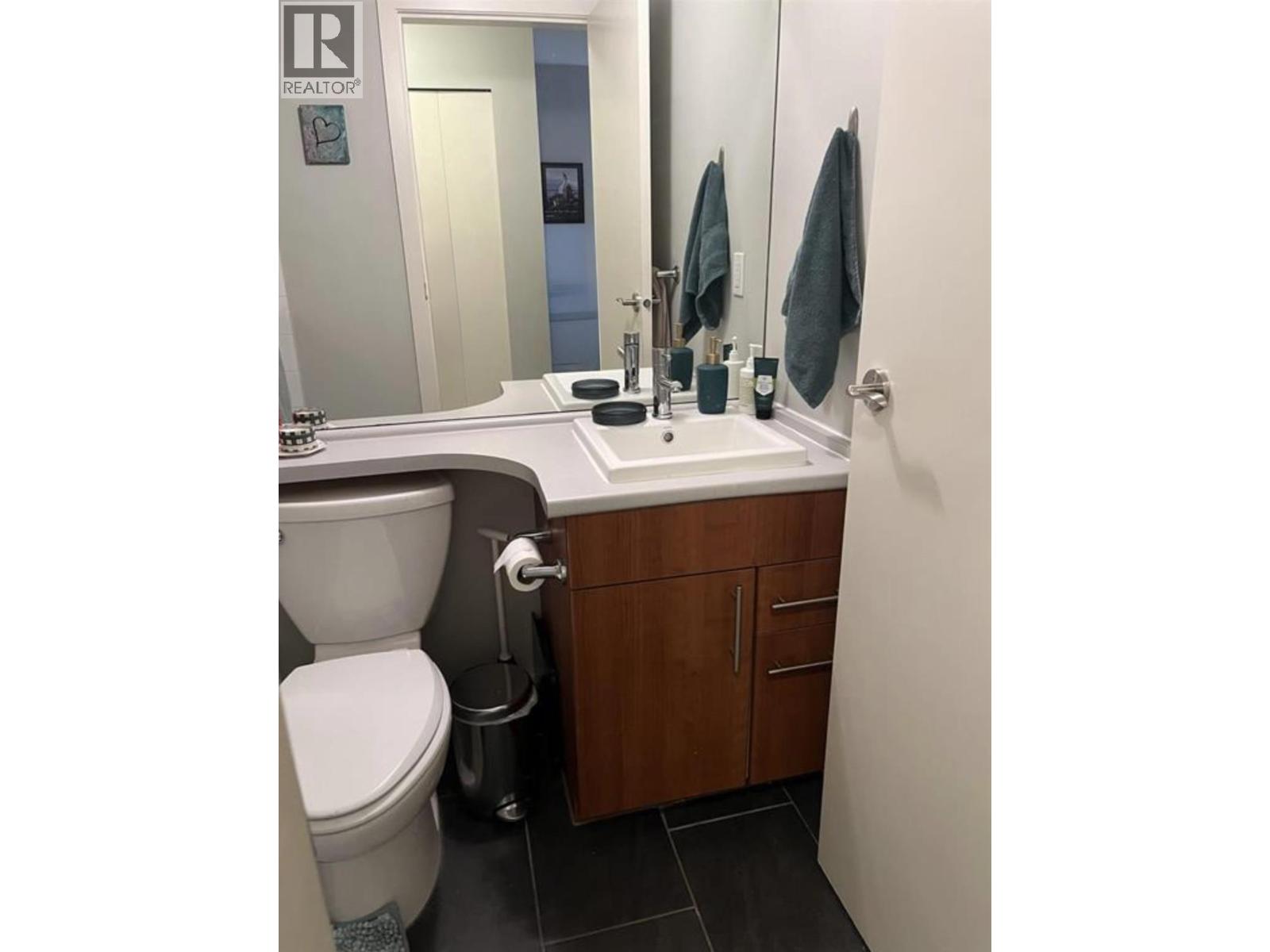 317 1633 Mackey Avenue, North Vancouver, British Columbia  V7P 0A2 - Photo 14 - R3168086