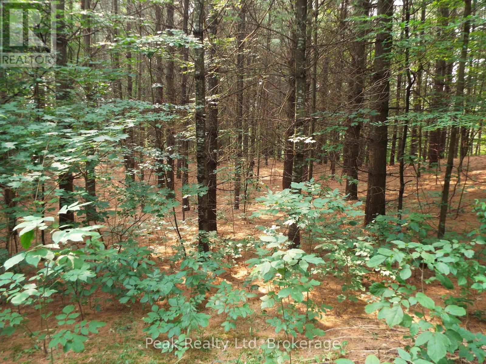 1575 Concession 10 Concession, South Bruce, Ontario  N0G 2B0 - Photo 13 - X13793282