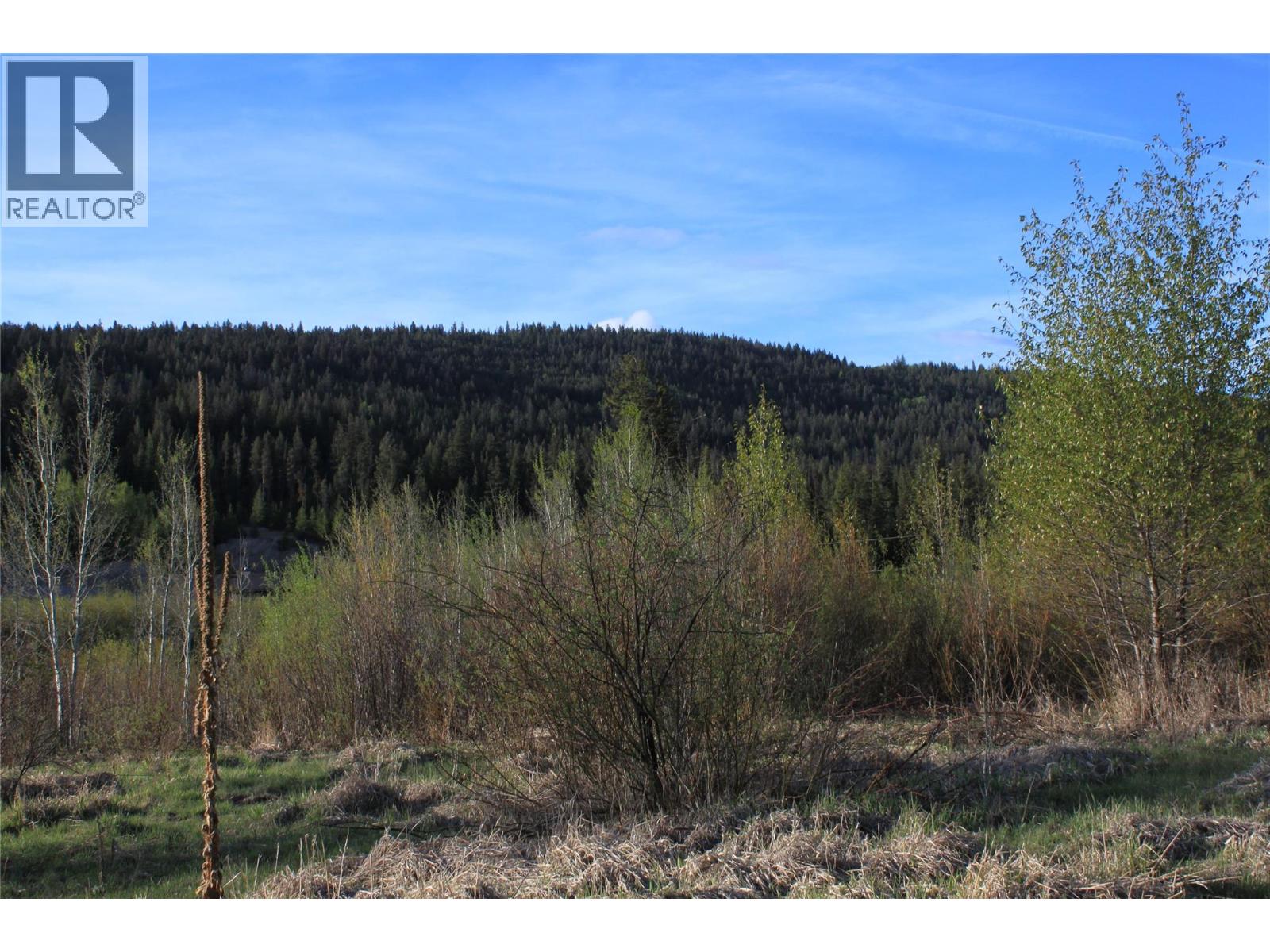 135 Secret Creek Place, Princeton, British Columbia  V0X 1W0 - Photo 6 - 10371862