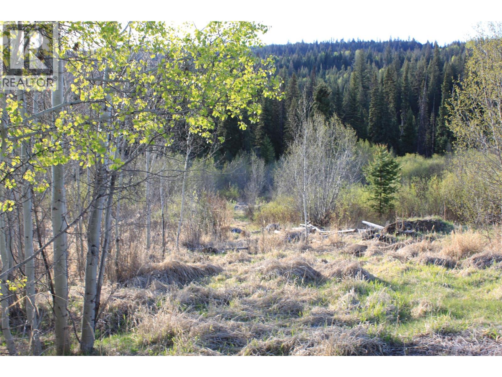 135 Secret Creek Place, Princeton, British Columbia  V0X 1W0 - Photo 15 - 10371862
